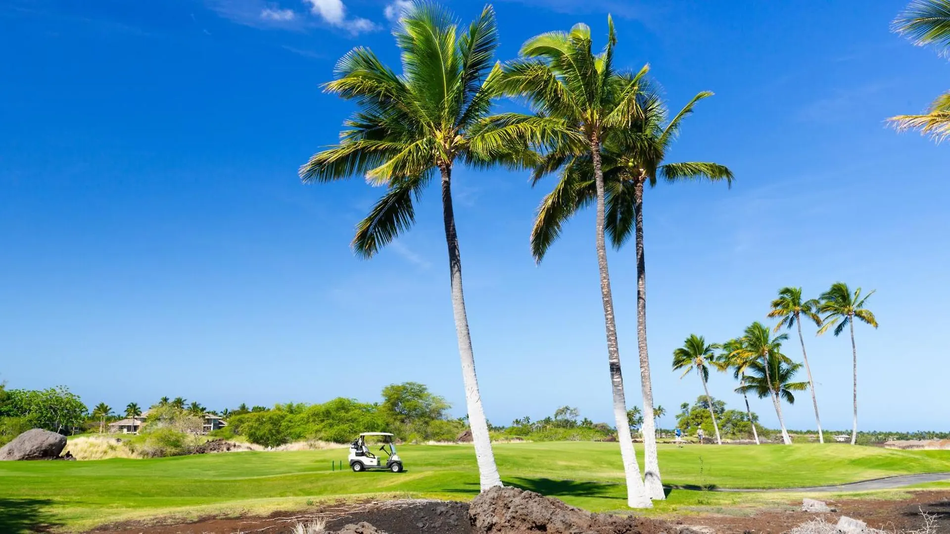 Holiday home Family Tides Grand 5Br Ainamalu Home With Two Family Suites Waikoloa